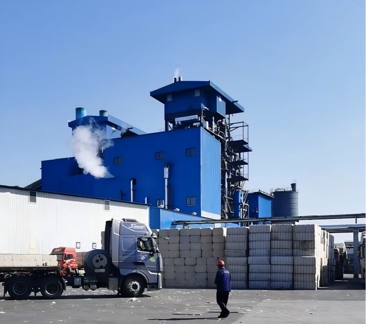 临邑金秋走访_20250402151742(1).jpg 临邑金秋走访_20250402151742(1).jpg